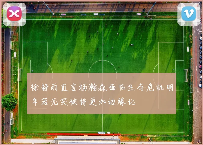 徐静雨直言杨瀚森面临生存危机明年若无突破将更加边缘化